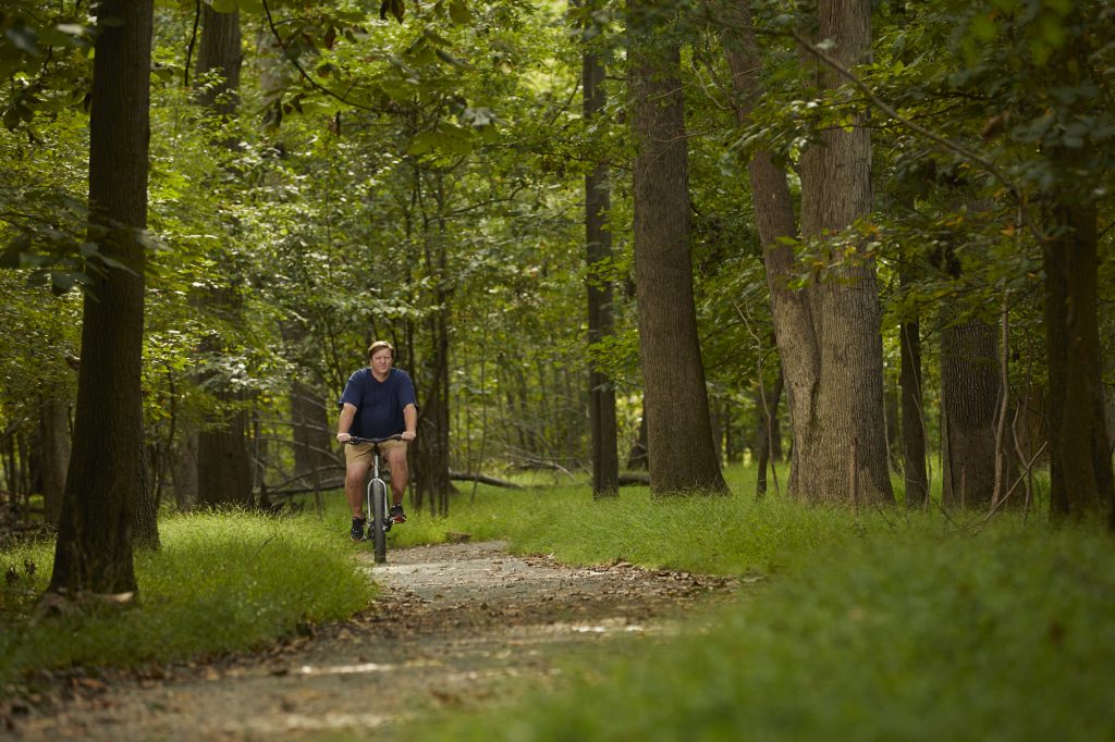 ZizeBikes - great ezine article - Zizi Bikes