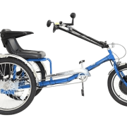 3 Wheel Electric Bike