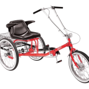 Tricycle Bicycle for Personal Activity