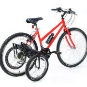 bike training wheels for adults