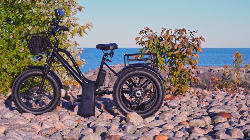 ZizeBikes - E-Trikes for Fitness – How to Get the Most Out of Your Workouts - E-Trikes for Fitness - E-Trikes for Fitness