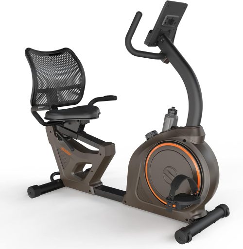 ZIZE Bikes - Niceday Indoor Recumbent Exercise Bike Workout Equipment for Home Gym 400LBS Weight Capacity