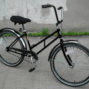 Supersized Newsgirl with High Rise Handlebars bike