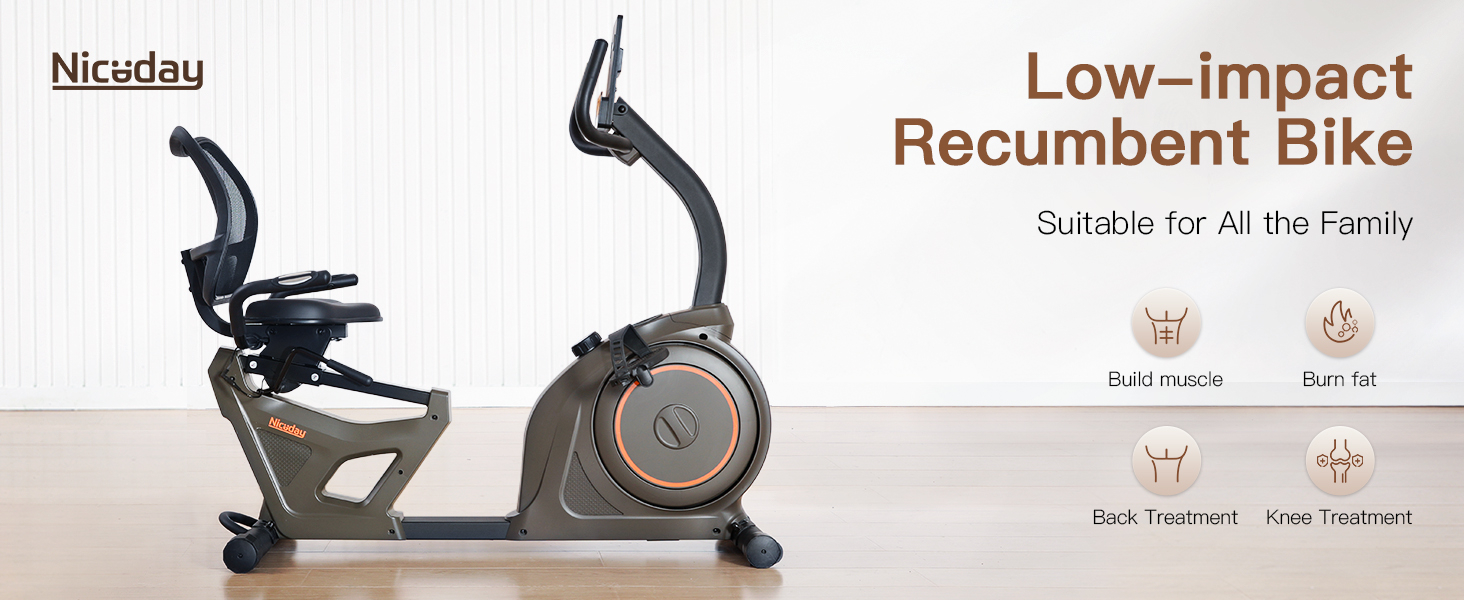 recumbent exercise bike